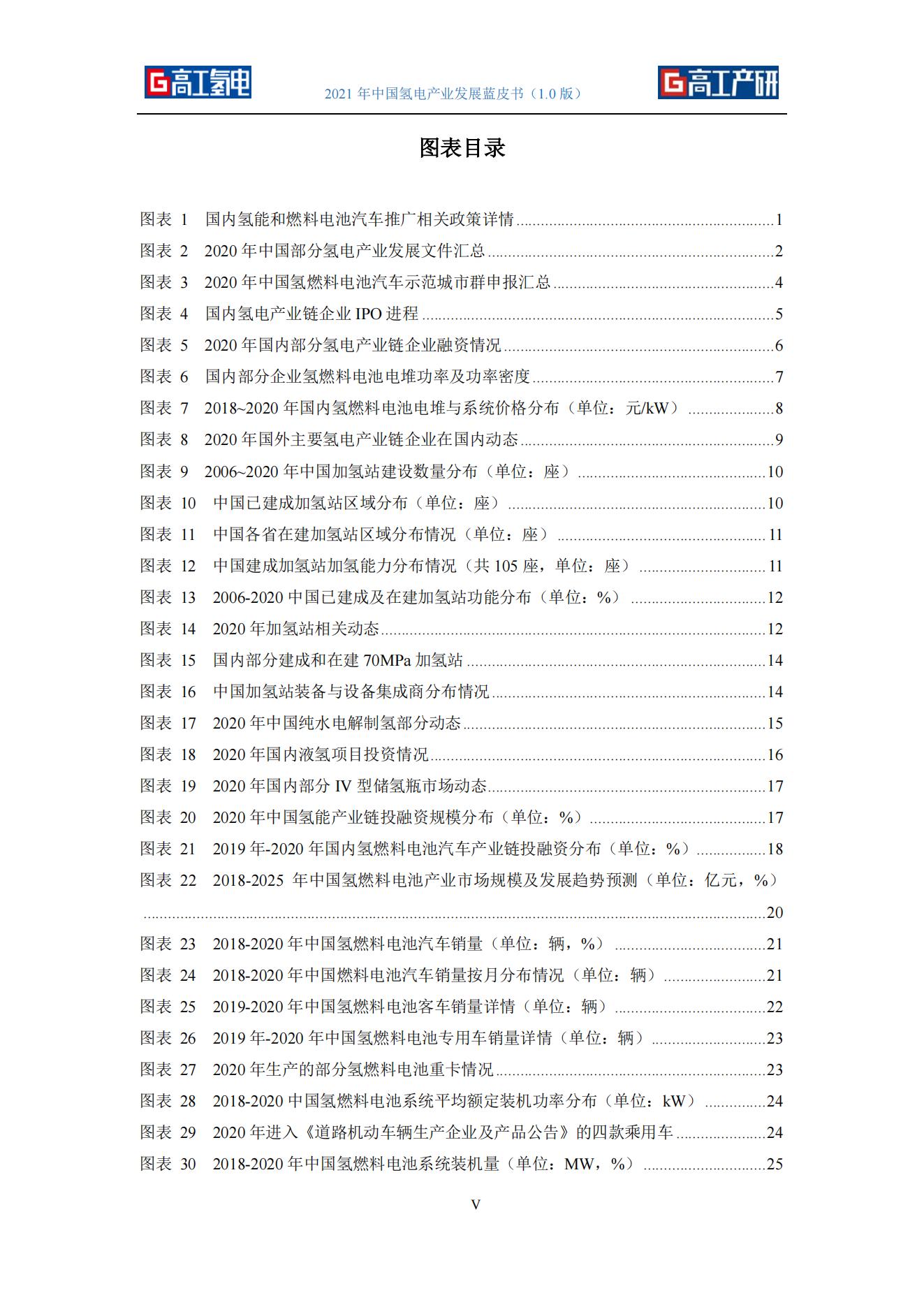 18、氢能源行业-2021年中国氢电产业发展蓝皮书_05.jpg