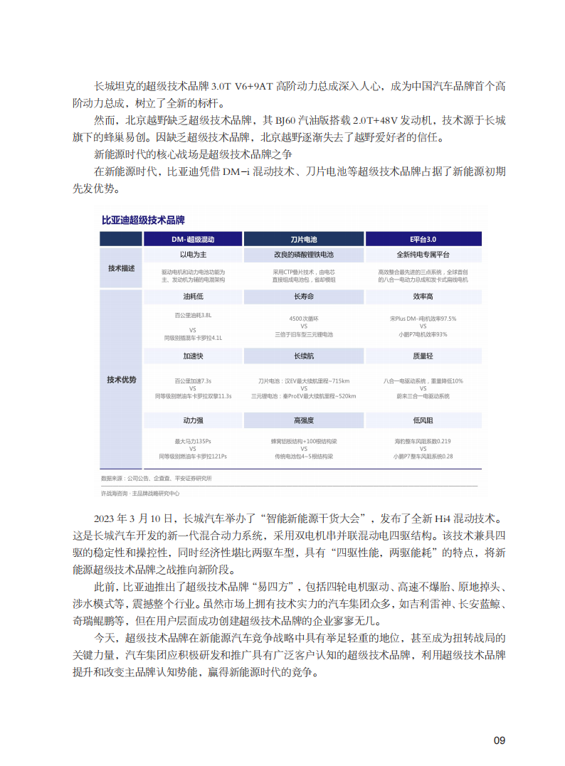 中国汽车行业新能源转型战略白皮书_12.png