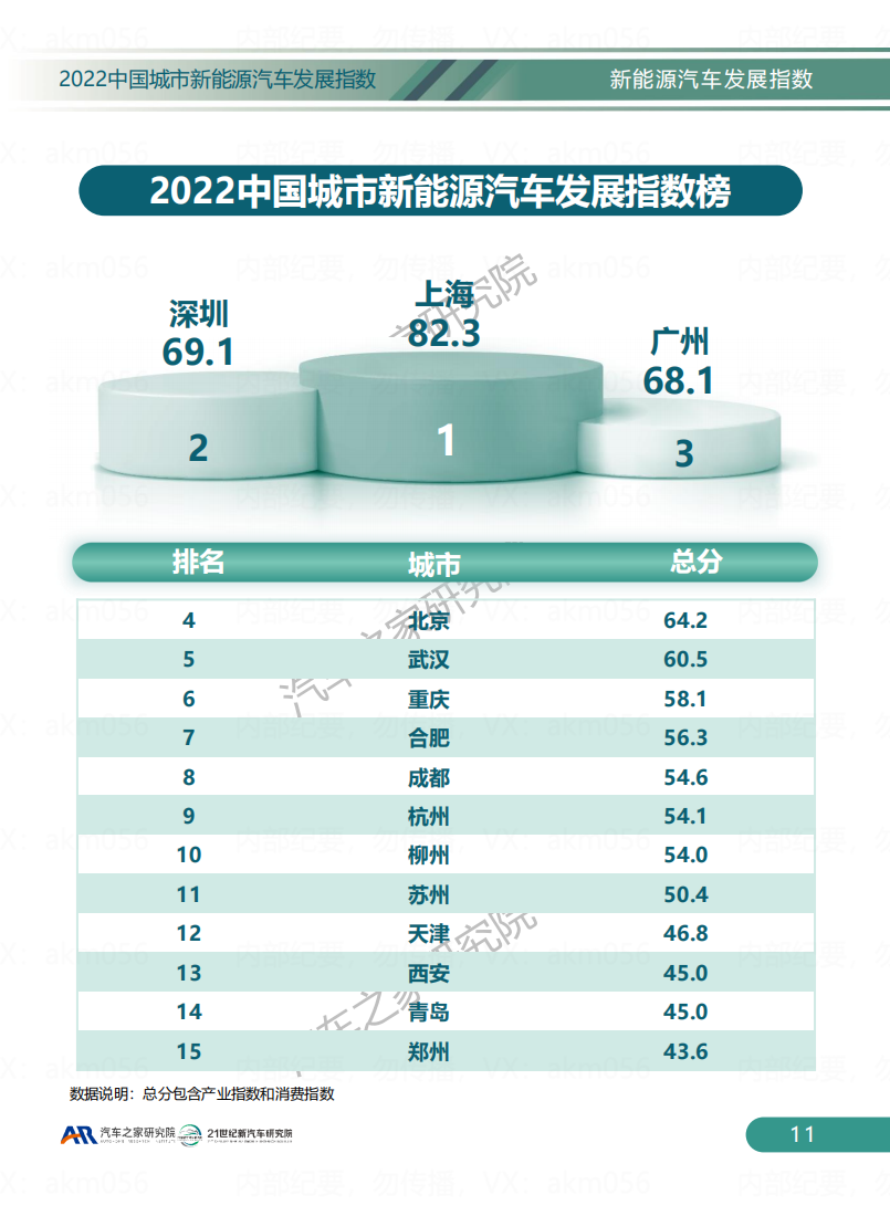 2022中国城市新能源汽车发展指数_13.png