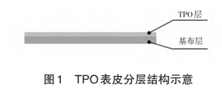 TPO表皮在汽车仪表板上应用