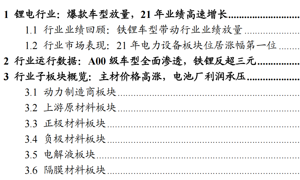 锂电池行业研究报告：爆款车型带动，锂电行业高速增长【万联证券】