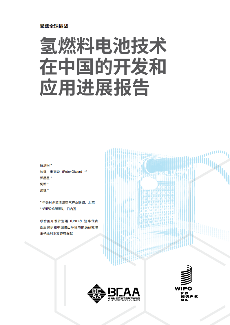 氢燃料电池技术在中国的开发和应用进展报告